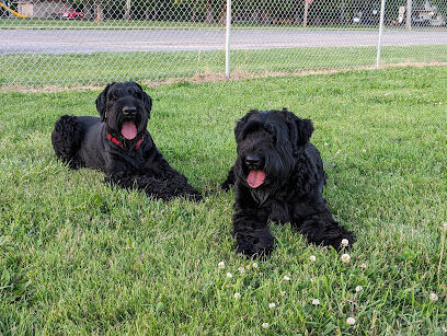 Oglesby Dog Park