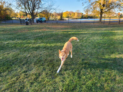 Van Horn Woods East Dog Park