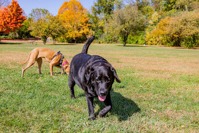 Canine Corners Dog Park - Searls Park