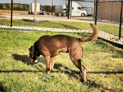 Dog Park at Love's Travel Stops
