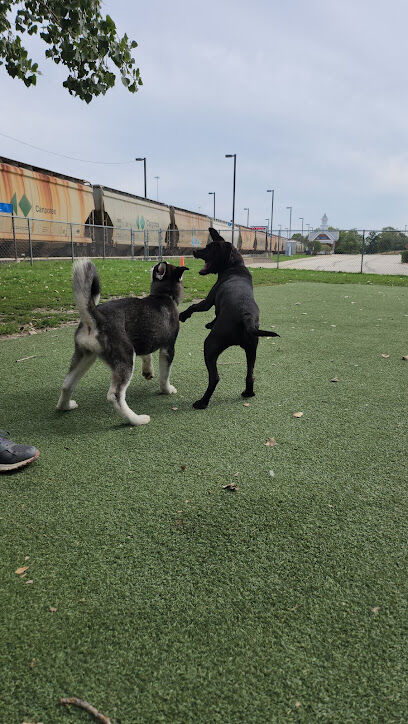 Schiller Park "Bark" Park