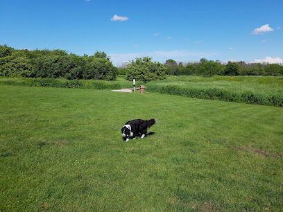 Hammel Woods Dog Park