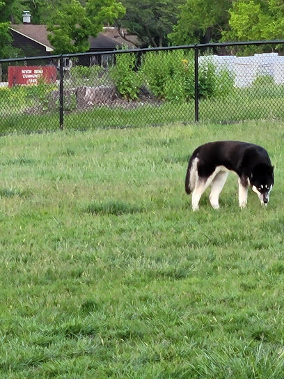 Dog Park