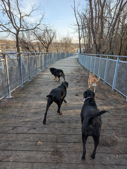 Fox River Bluff West Forest Preserve