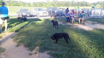 Dog Park
