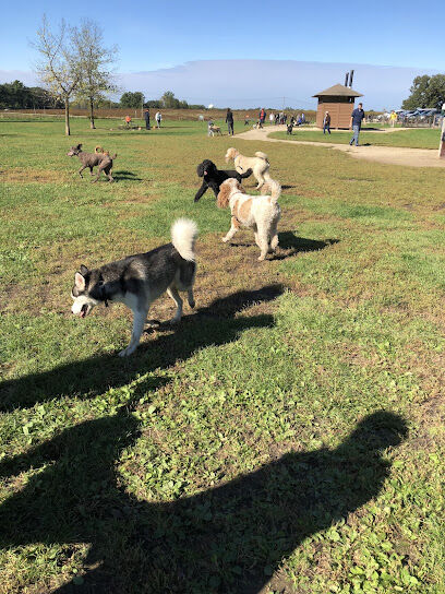 Lakewood Off-Leash Dog Area