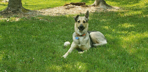 Crump's Canine Corral - Avilla Dog Park