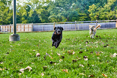 Central Dog Park