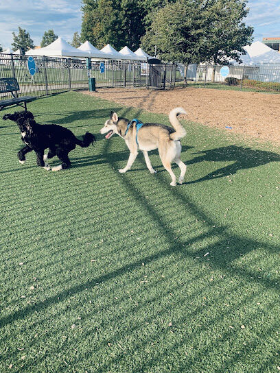 Dog Park at Clay Terrace