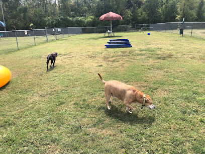 Central Bark Dog Park (Members Only)