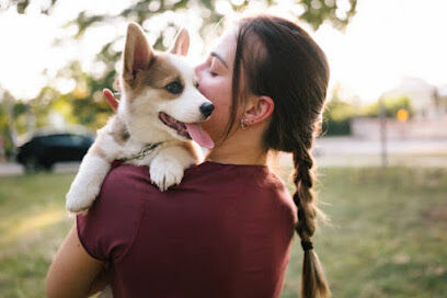 Home of puppies