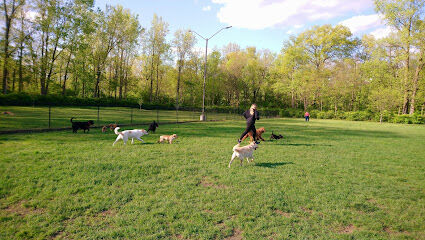 Pawster Park (Pay Access)