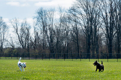 Dog Park
