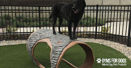 The Dog Park Company