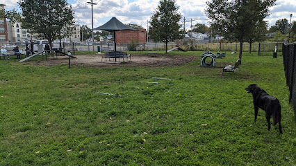 Downtown Dog Park