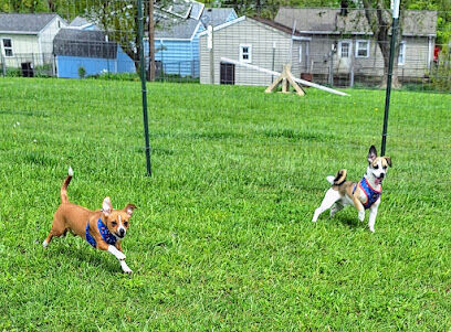Ultimutt Dog Park