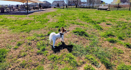 Pippero Pup Park