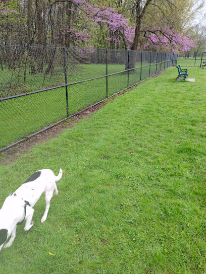 Centennial Park Dog Park