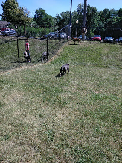 Niles Ave Dog Park by David Matthews
