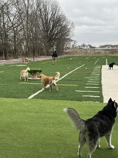Crate Escapes Dog Park + Bar