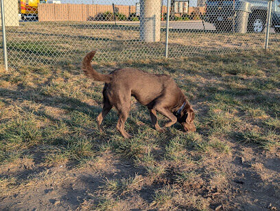 Dog Park at Love’s Travel Stops