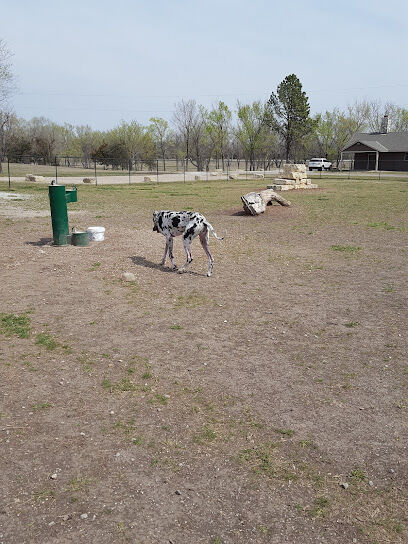 Dog Park in Andover Central Park