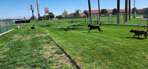 Oasis Travel Center Dog Park