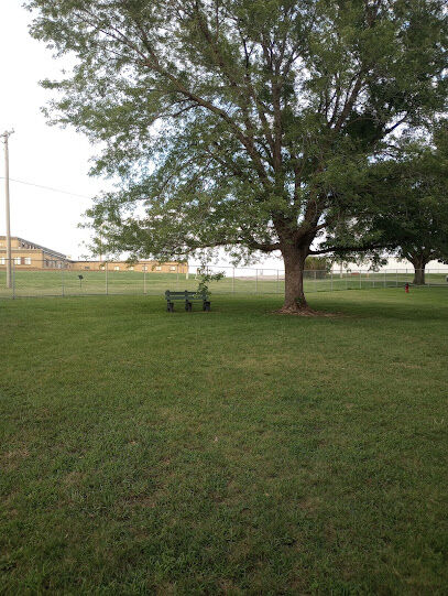 Dog Park