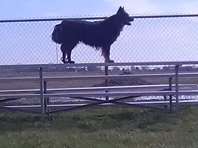 Martin Creek Dog Park