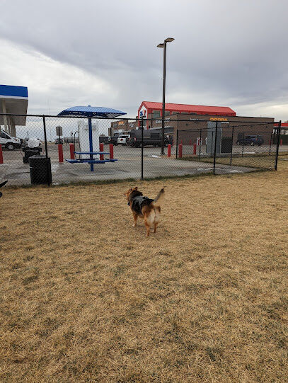 Prairie Dogs Dog Park
