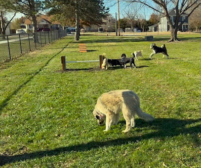 Hickory Dog Park & Playground