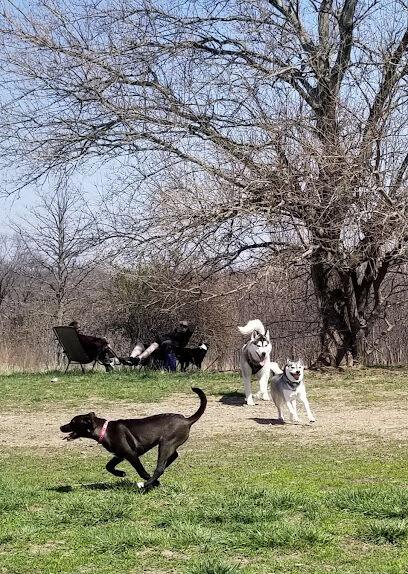 Shawnee Mission Park Dog Beach