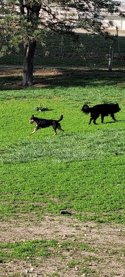 Cico Dog Park