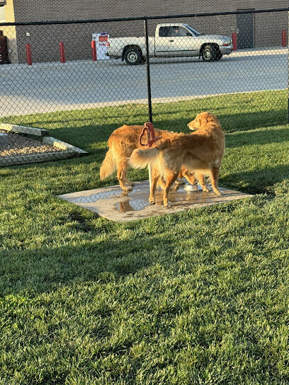 Prairie Dogs Dog Park