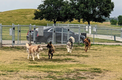 Centennial Dog Park