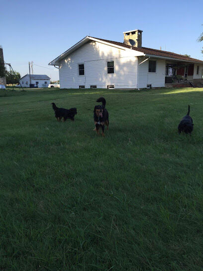 Small Paws Country Getaway, featuring "The Woof Park"
