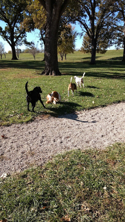 Bark Park