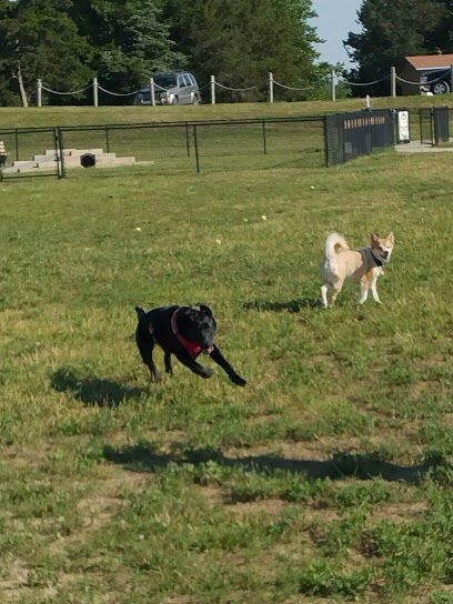 Paola Dog Park