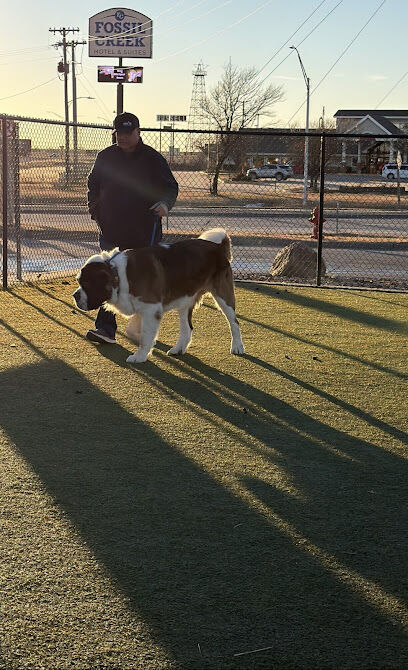 Prairie Dogs Dog Park