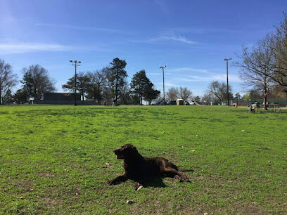 Hills Pet Nutrition Bark Park