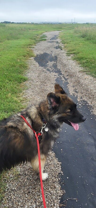 Chapin Dog Park