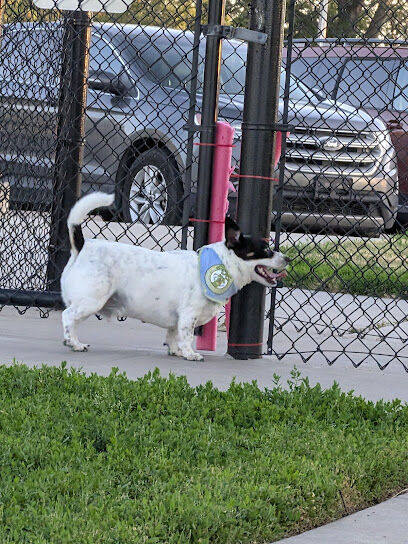 Harrison Dog Park