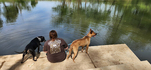 Bark Park at Phil Moore Park