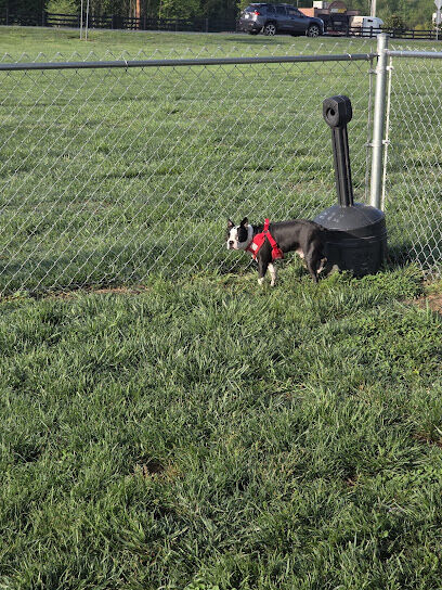 Dog Park at Love's Travel Stops