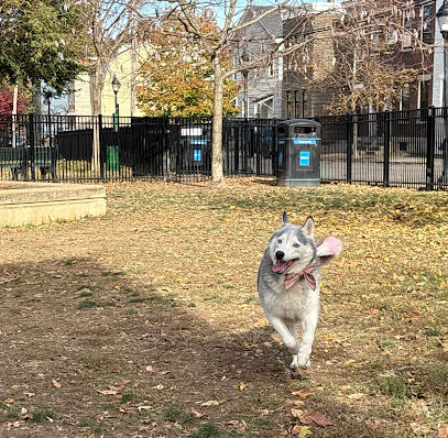 Kenney Shield’s Dog Park