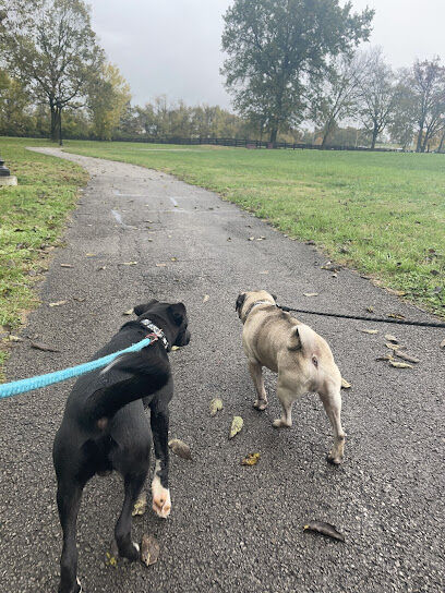Cynthiana Dog Park