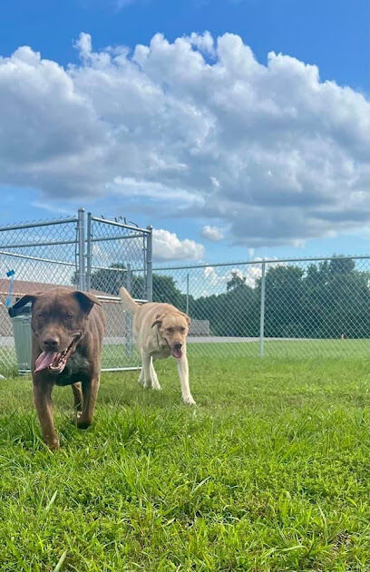 The Barking Lot