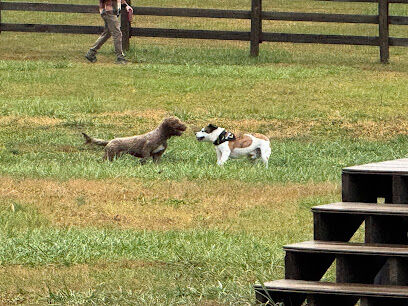 Veterans Park Dog Park