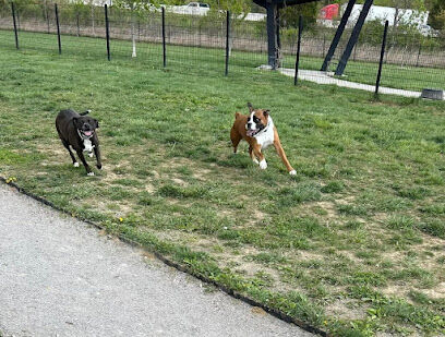 Barklands