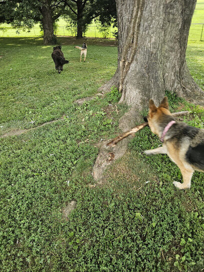 Champions Dog Run (Members Only)